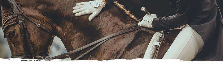 einstiegsbanner derby stars von morgen landingpage 920px mobil